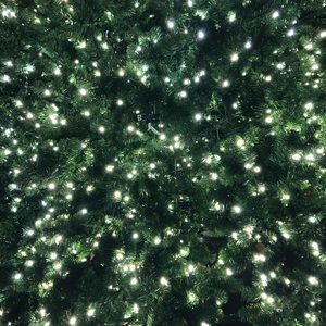 Meet your Posher, Alejandra